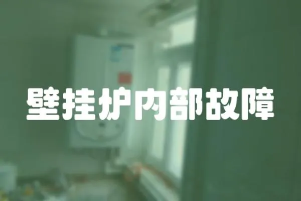 壁掛爐內(nèi)部故障
