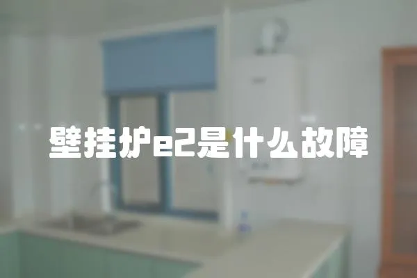 壁掛爐e2是什么故障