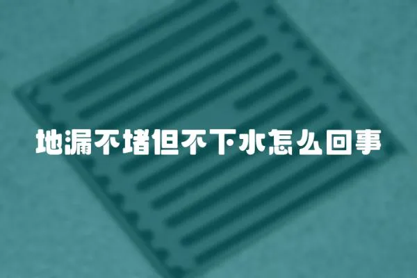 地漏不堵但不下水怎么回事