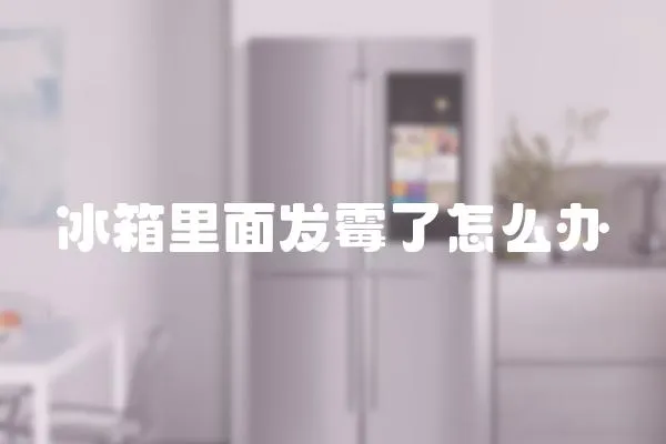 冰箱里面發霉了怎么辦