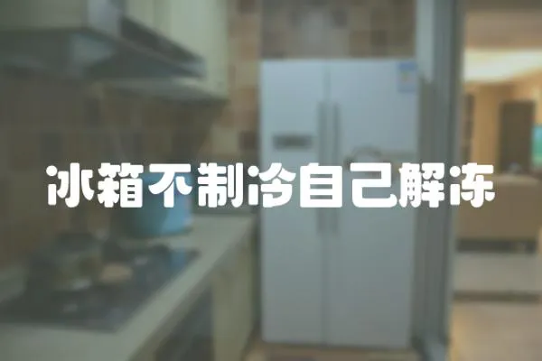 冰箱不制冷自己解凍