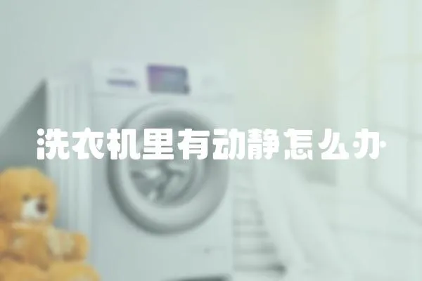 洗衣機里有動靜怎么辦