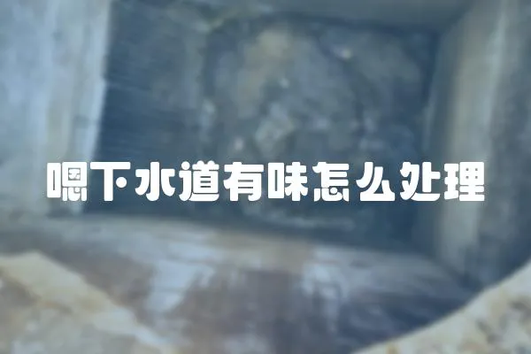 嗯下水道有味怎么處理
