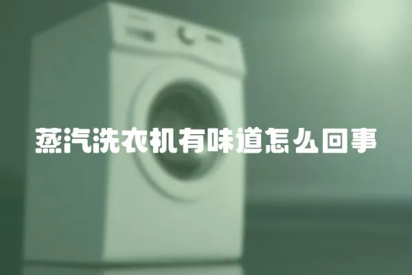 蒸汽洗衣機(jī)有味道怎么回事