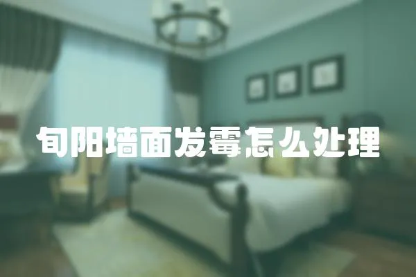 旬陽墻面發(fā)霉怎么處理