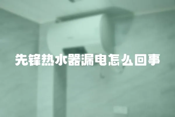 先鋒熱水器漏電怎么回事