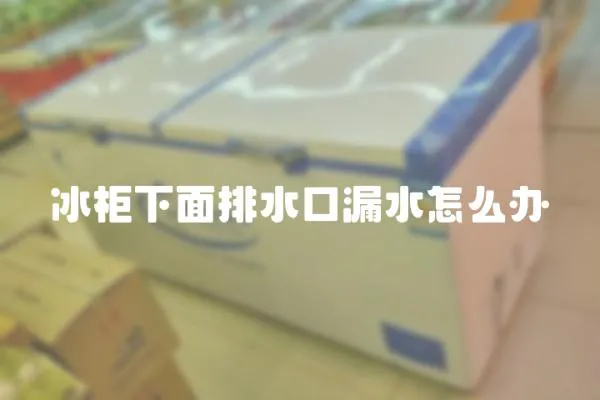 冰柜下面排水口漏水怎么辦