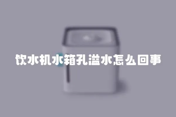 飲水機水箱孔溢水怎么回事