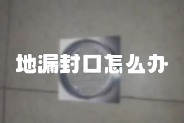 地漏封口怎么辦
