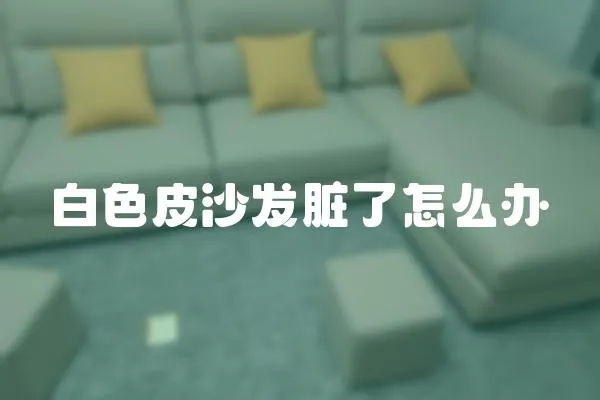 白色皮沙發(fā)臟了怎么辦