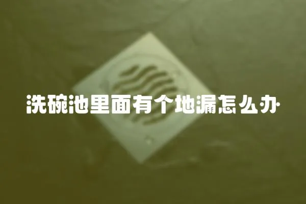 洗碗池里面有個地漏怎么辦