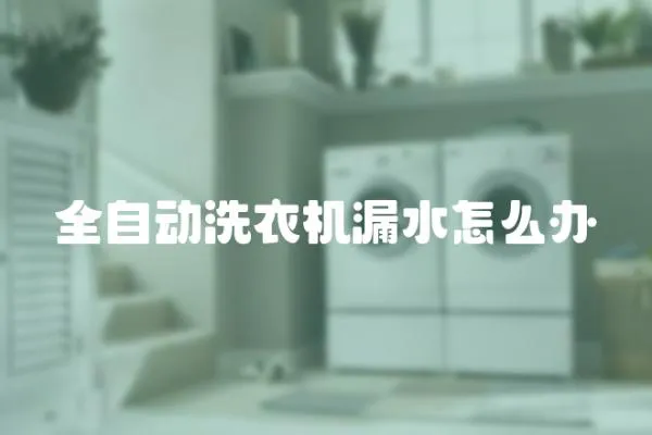 全自動洗衣機漏水怎么辦