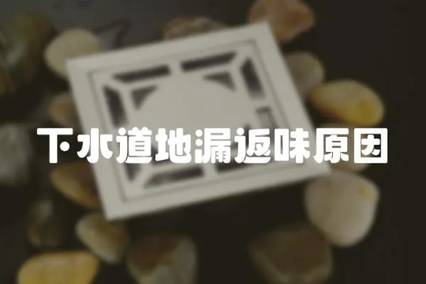 下水道地漏返味原因