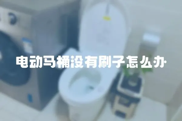 电动马桶没有刷子怎么办