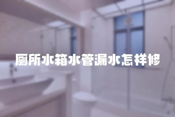 廁所水箱水管漏水怎樣修