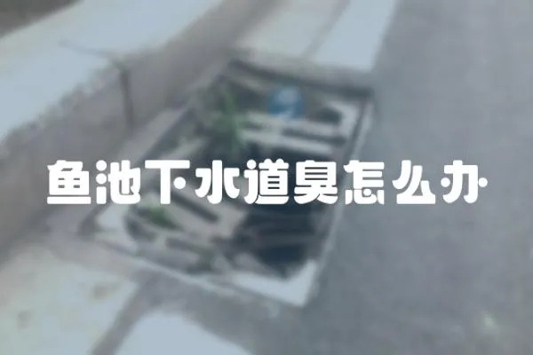 魚池下水道臭怎么辦