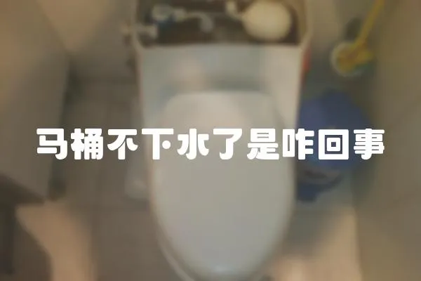 馬桶不下水了是咋回事