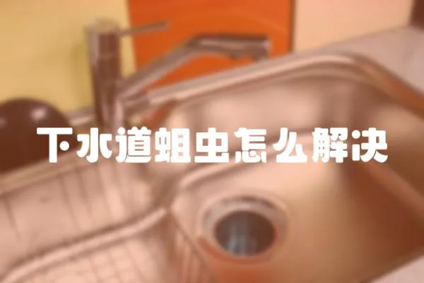 下水道蛆蟲怎么解決