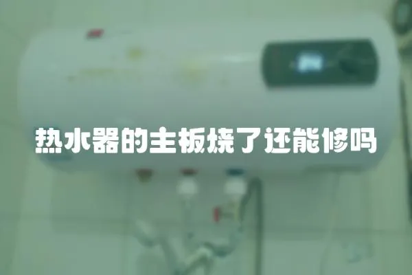 熱水器的主板燒了還能修嗎