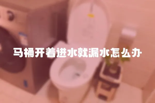 馬桶開著進水就漏水怎么辦