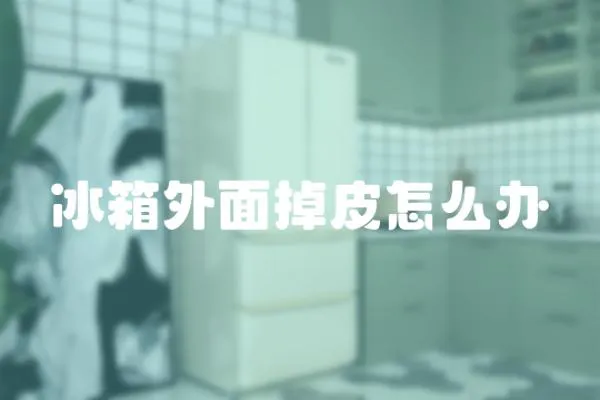 冰箱外面掉皮怎么辦
