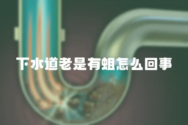 下水道老是有蛆怎么回事