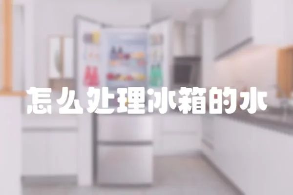 怎么處理冰箱的水