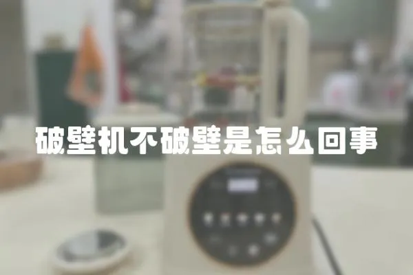 破壁機不破壁是怎么回事