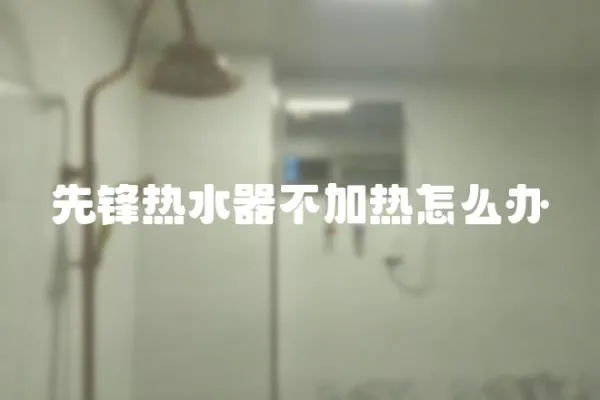 先鋒熱水器不加熱怎么辦
