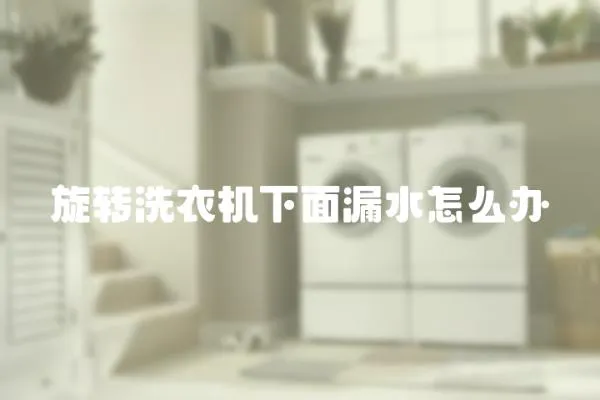旋轉洗衣機下面漏水怎么辦