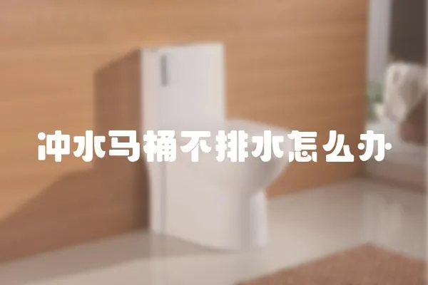 沖水馬桶不排水怎么辦