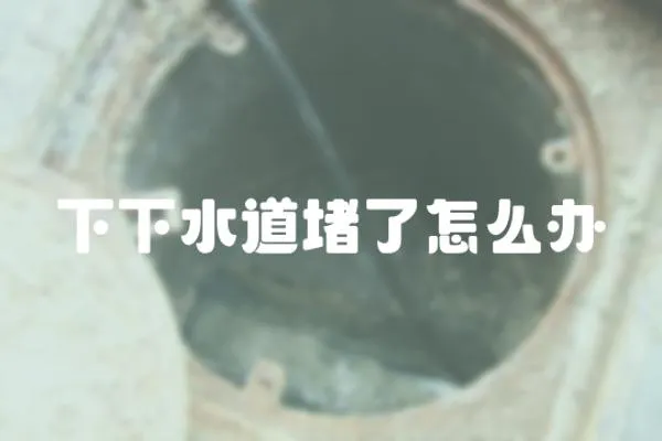 下下水道堵了怎么辦