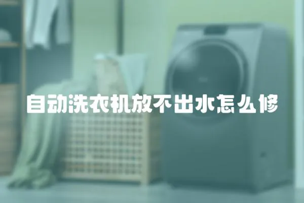 自動洗衣機(jī)放不出水怎么修