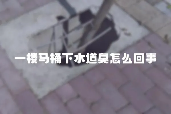 一樓馬桶下水道臭怎么回事