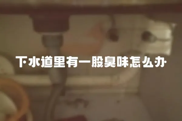下水道里有一股臭味怎么辦