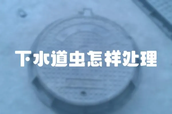 下水道蟲怎樣處理