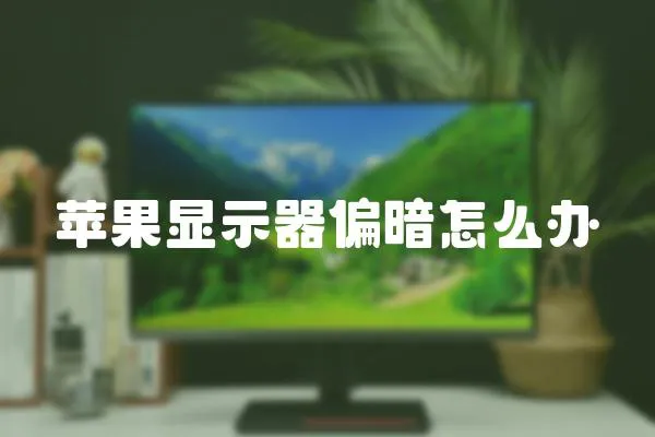 蘋果顯示器偏暗怎么辦