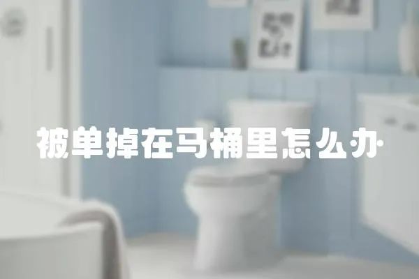 被單掉在馬桶里怎么辦