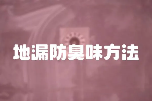 地漏防臭味方法