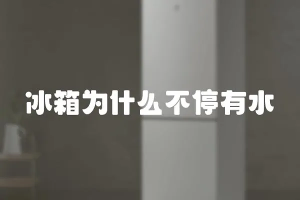 冰箱為什么不停有水