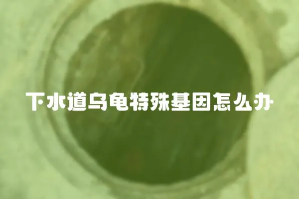 下水道烏龜特殊基因怎么辦