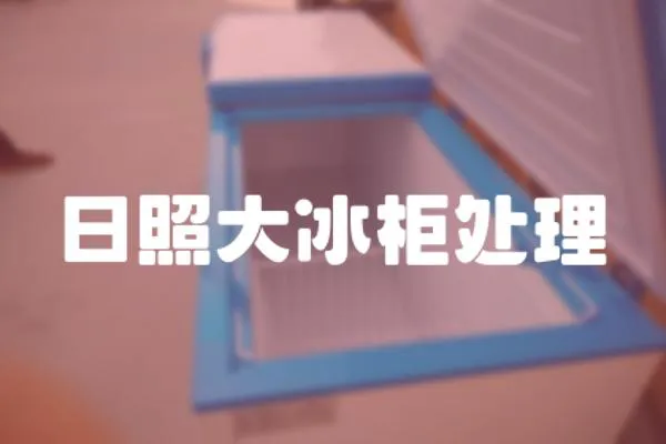 日照大冰柜處理
