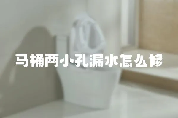 馬桶兩小孔漏水怎么修