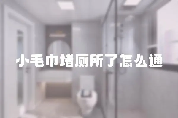 小毛巾堵廁所了怎么通