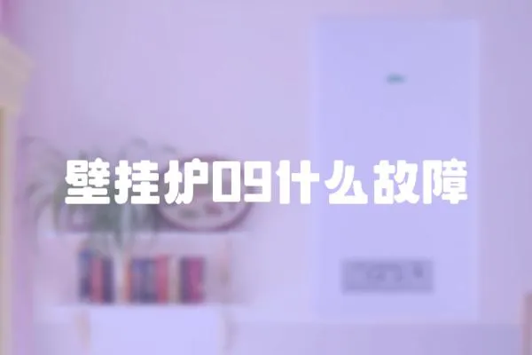 壁掛爐09什么故障