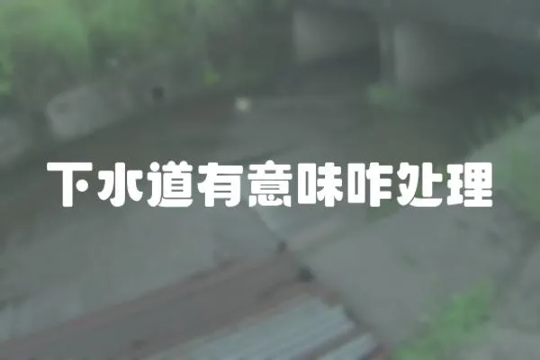 下水道有意味咋處理