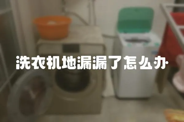 洗衣機地漏漏了怎么辦