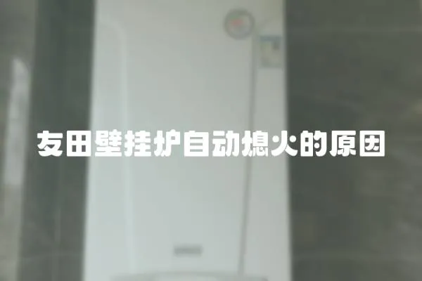友田壁掛爐自動(dòng)熄火的原因