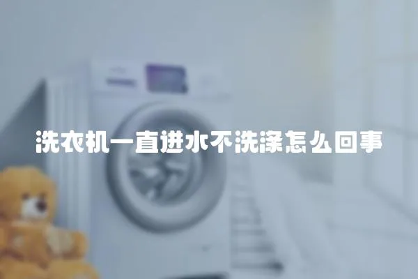 洗衣機一直進水不洗滌怎么回事