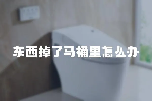 東西掉了馬桶里怎么辦